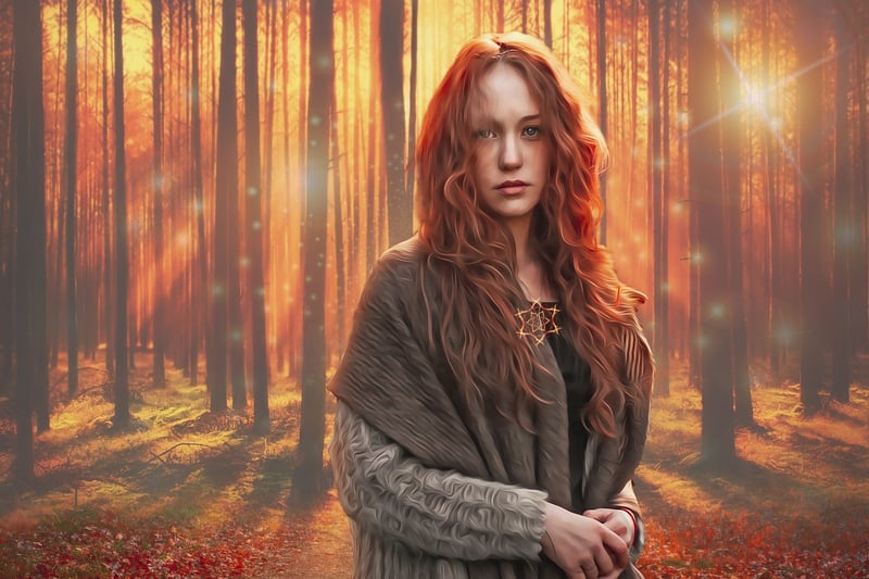 Enchanted Forest